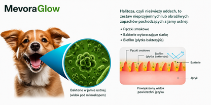 MevoraGlow - żel do regeneracji jamy ustnej dla zwierząt