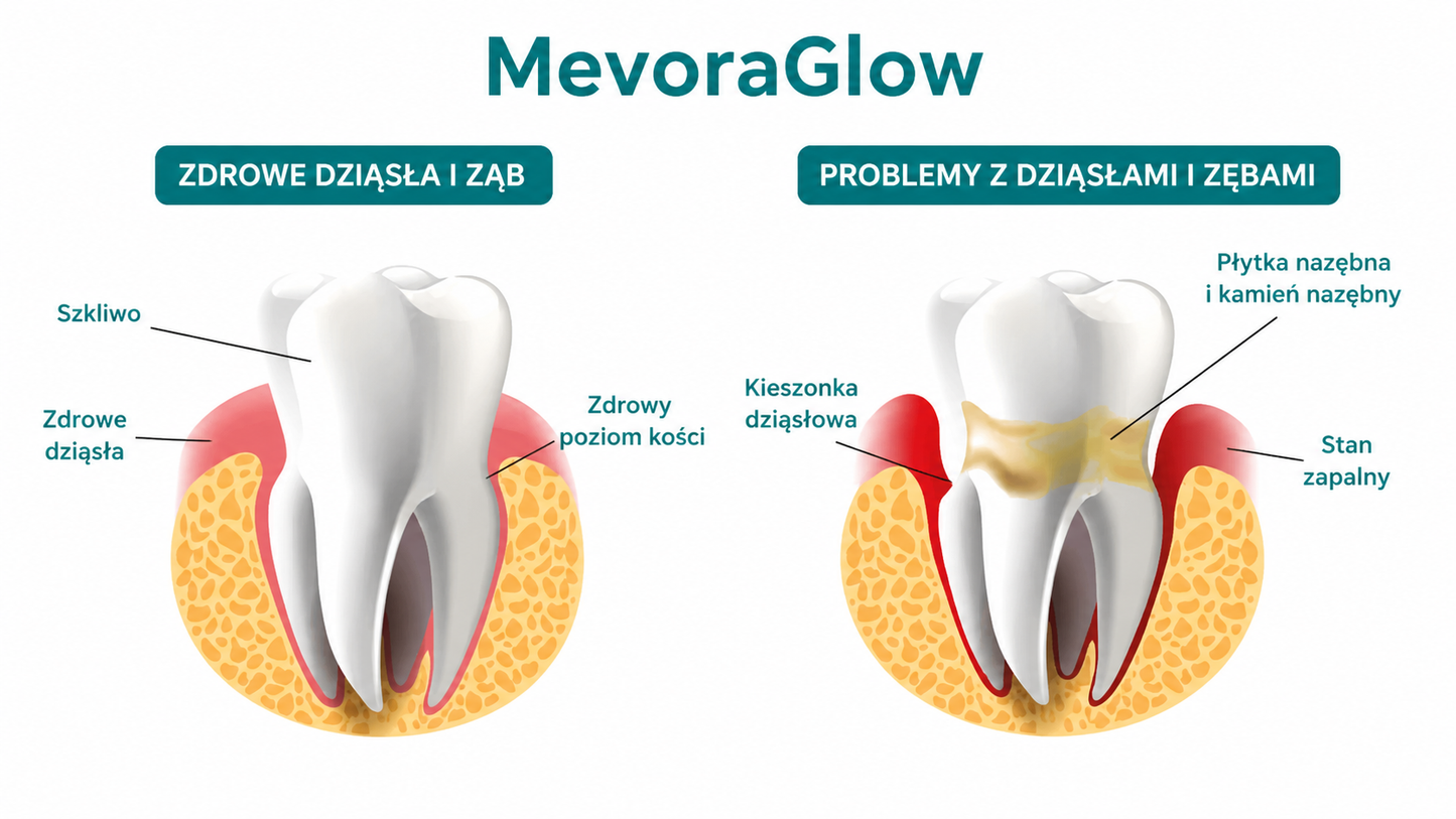 MevoraGlow - żel do regeneracji jamy ustnej dla zwierząt