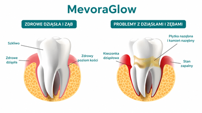 MevoraGlow - żel do regeneracji jamy ustnej dla zwierząt