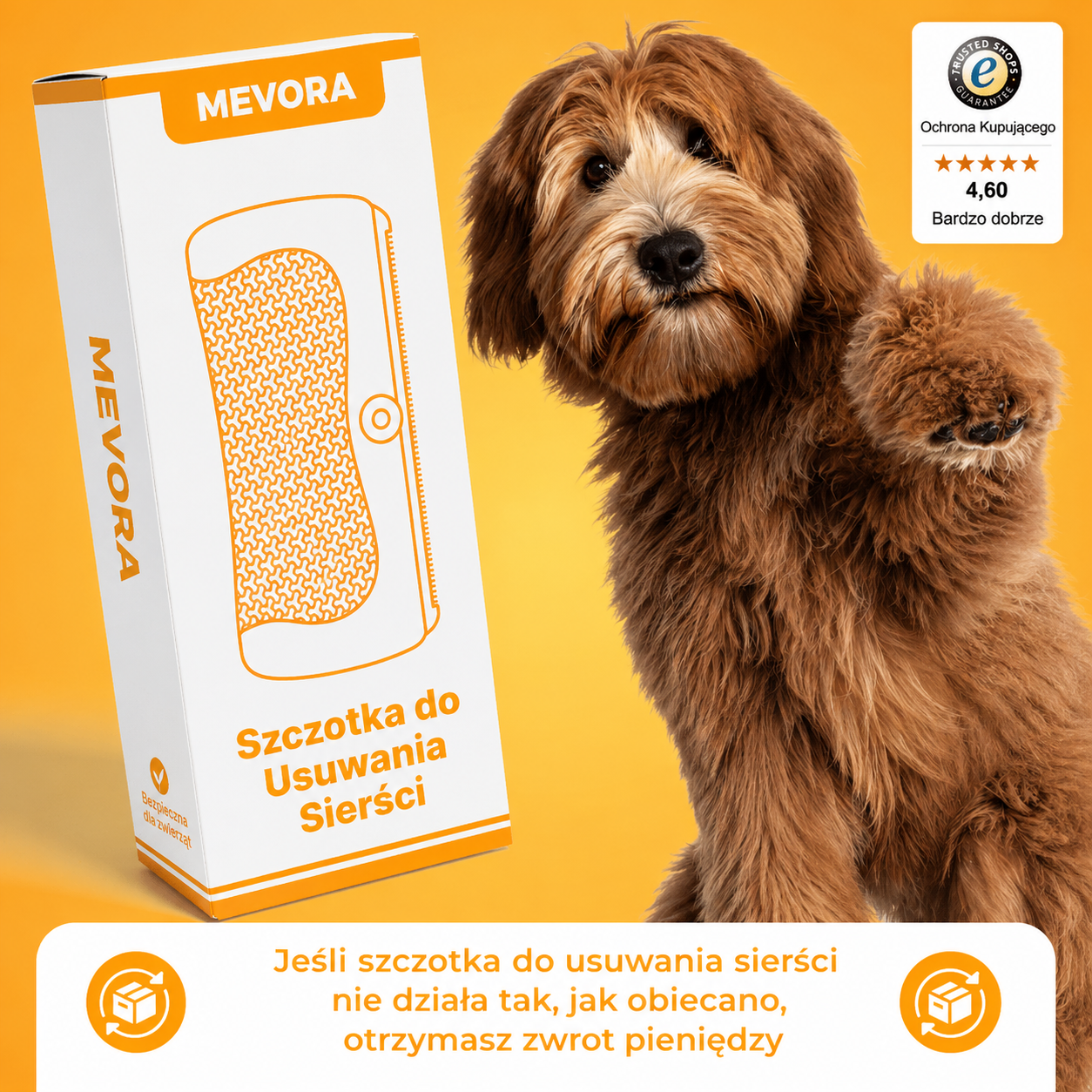 Szczotka Mevora – Bestseller
