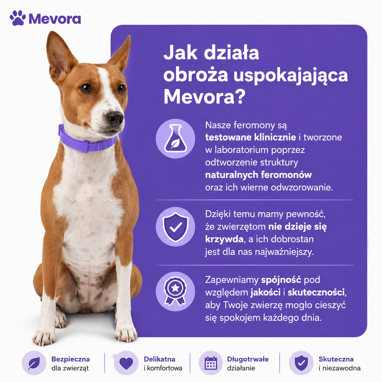 Obroża uspakajająca Mevora