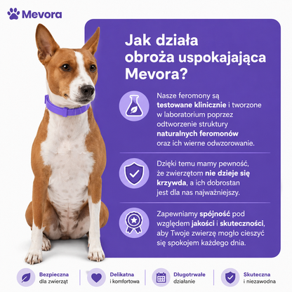 Obroża uspakajająca Mevora