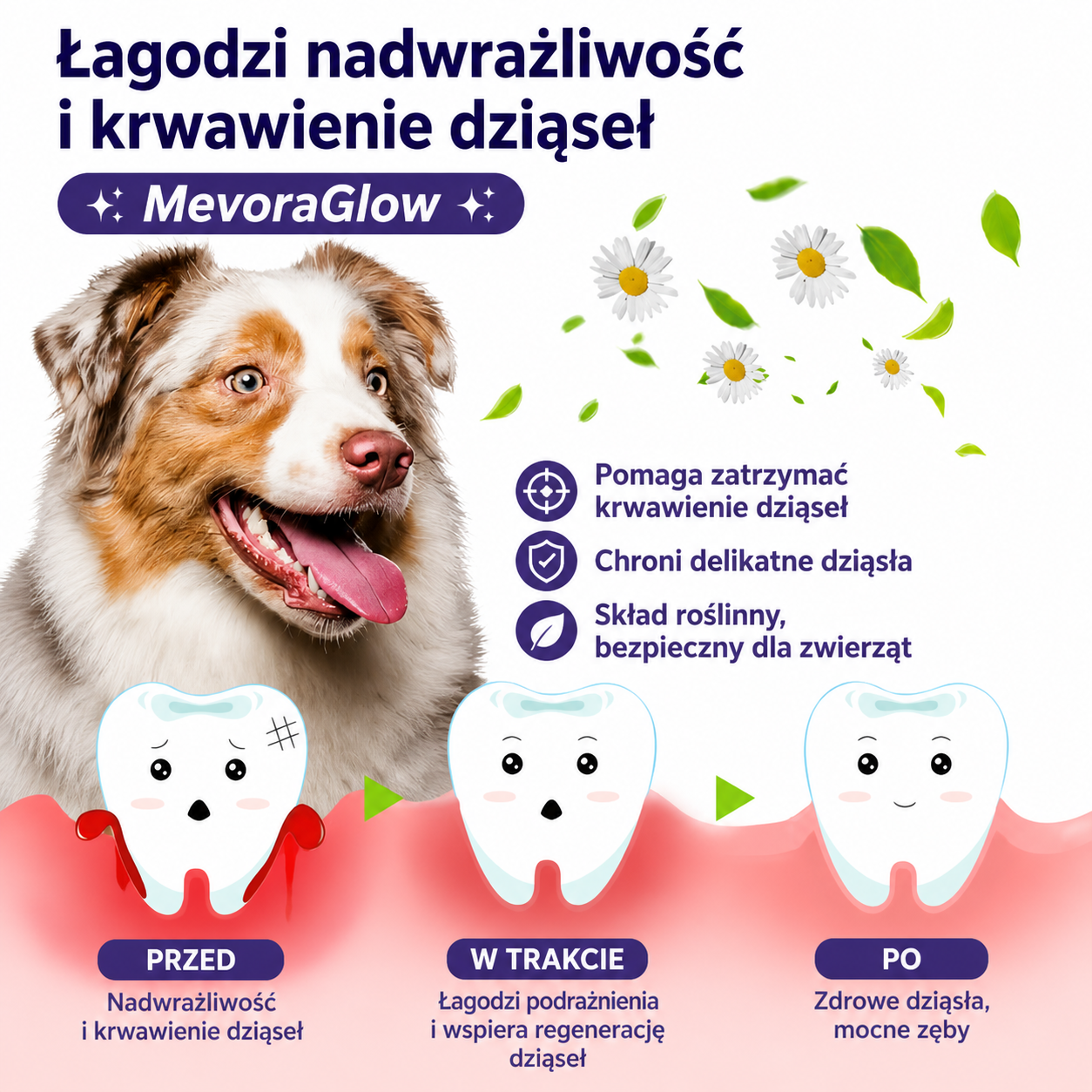 MevoraGlow - żel do regeneracji jamy ustnej dla zwierząt