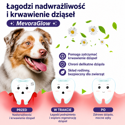 MevoraGlow - żel do regeneracji jamy ustnej dla zwierząt