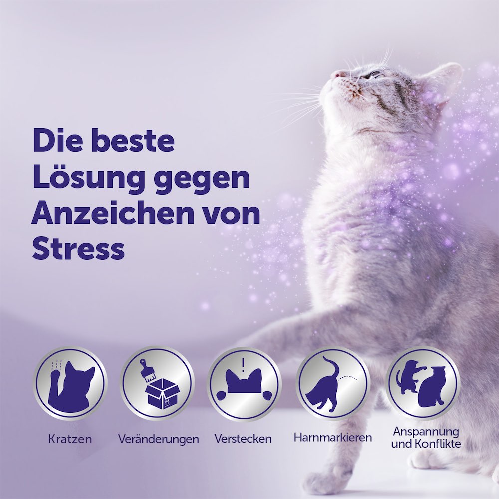 FELIWAY Optimum Verdampfer