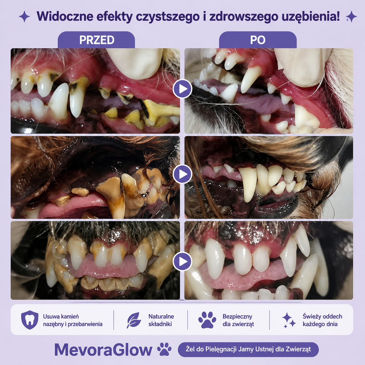 MevoraGlow - żel do regeneracji jamy ustnej dla zwierząt